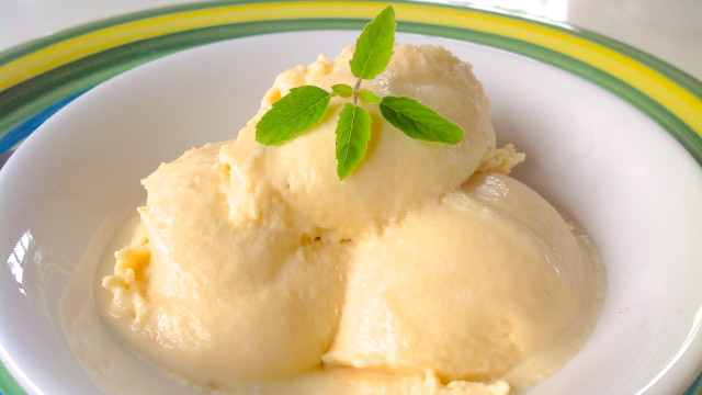 Homemade Condensed Milk Ice cream